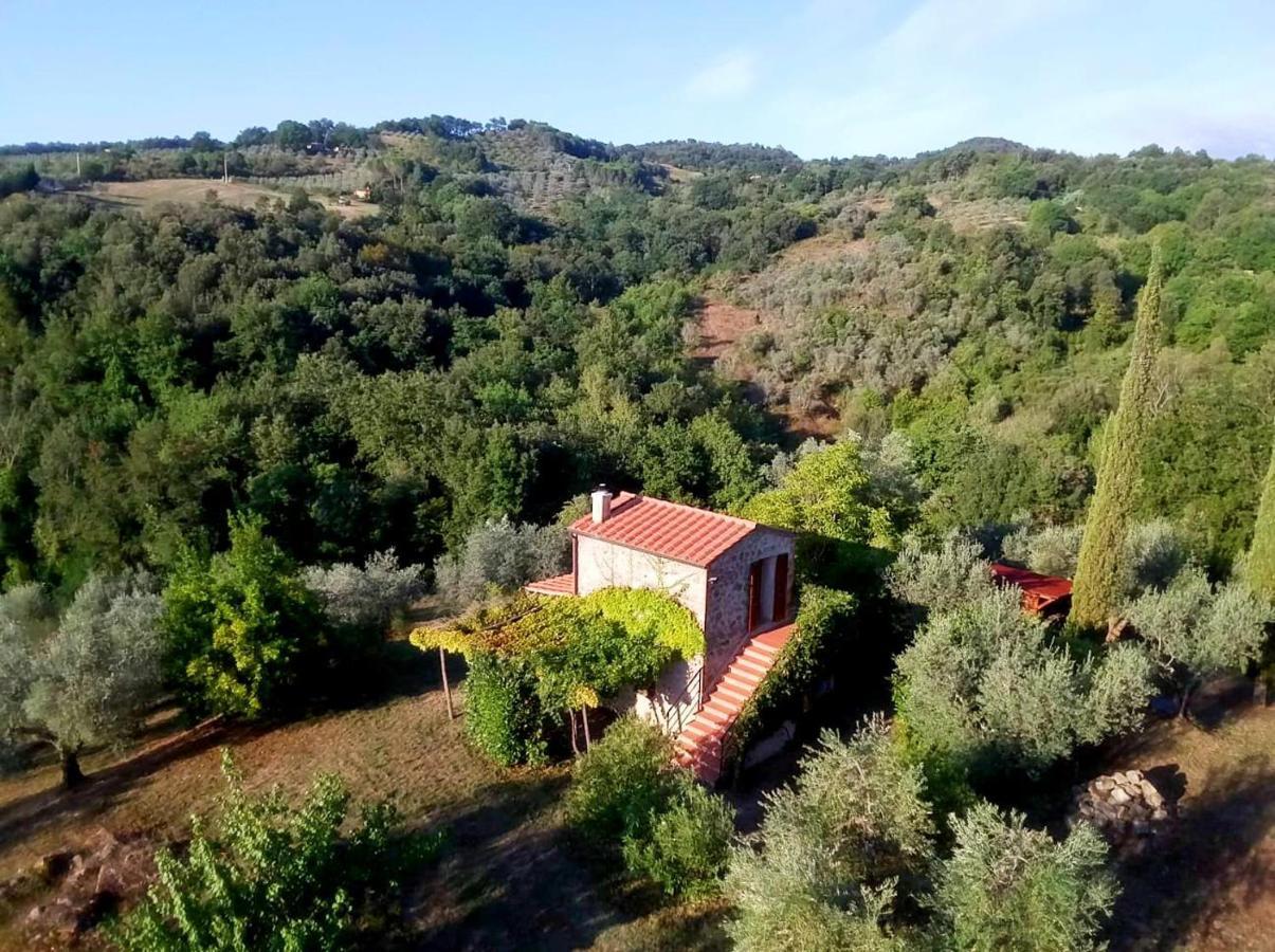 Willa Ferienhaus Il-Pino Roccastrada Zewnętrze zdjęcie