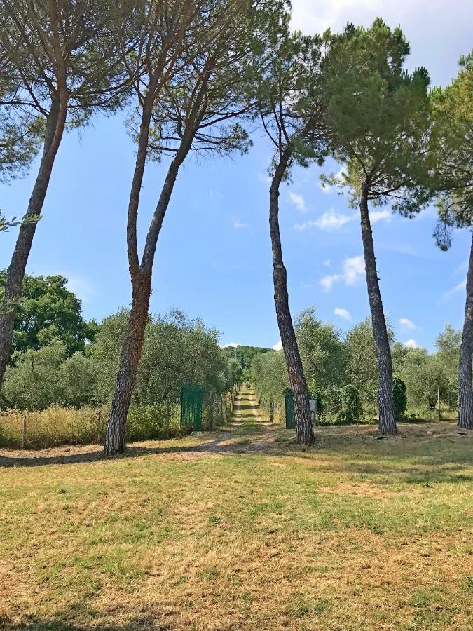 Willa Ferienhaus Il-Pino Roccastrada Zewnętrze zdjęcie